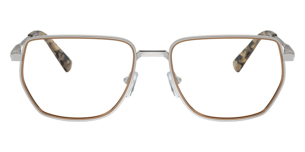 Shiny Silver / 56-18-145