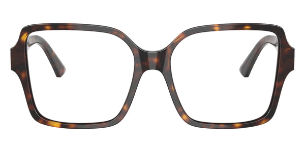 Havana/Gold / 54-16-145