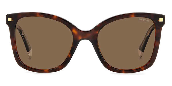Havana / Bronze Polarized / 53-20-145