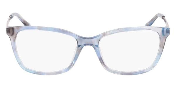 Blue Tortoise / 53-17-140