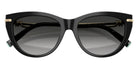 TIFFANY TF4253F 80013C 55 - Black / Gray Gradient