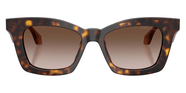 Havana/Top Havana/Transparent Brown / Brown Gradient / 50-17-140