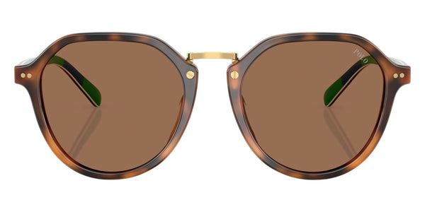 Shiny Red Havana / Dark Brown / 53-19-145