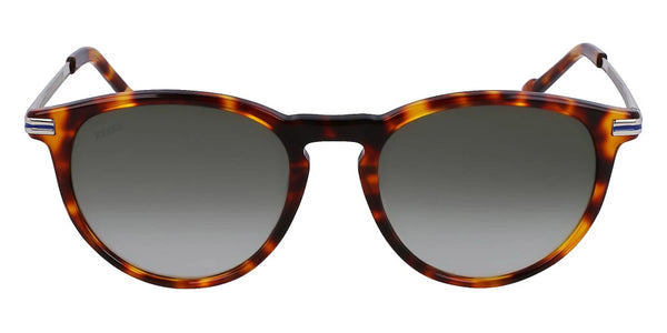 Tortoise / 53-19-145