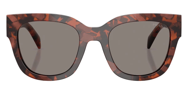 Amaranth Tortoise / Dark Gray / 53-20-145