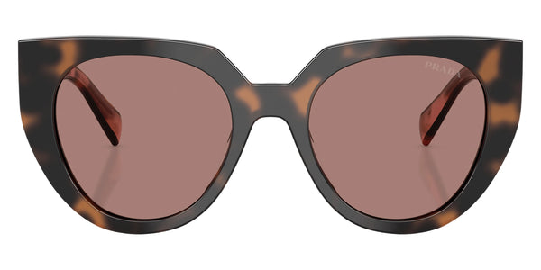 Mauve Tortoise / Light Brown / 52-20-140