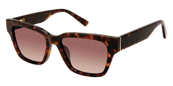 Tortoise / Dark Brown Gradient Polarized / 51-16-135