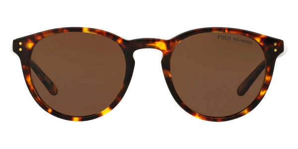 Shiny Antique Havana / Polarized Brown / 50-21-145