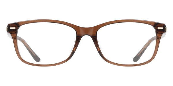 Transparent Brown / 53-17-145