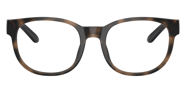 Shiny Dark Havana/Shiny Black / 43-15-125