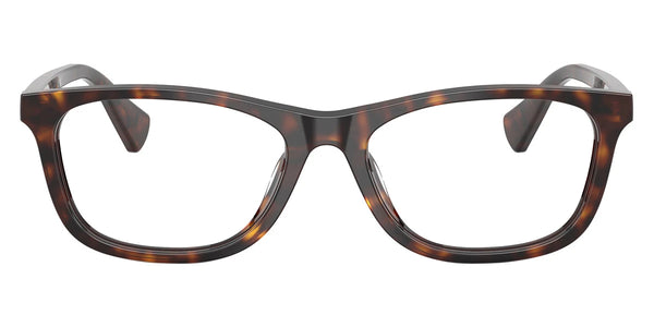 Shiny Dark Havana / 53-16-145