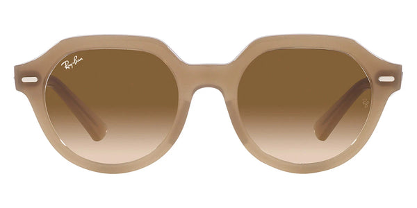 Turtledove / Brown / 51-21-140