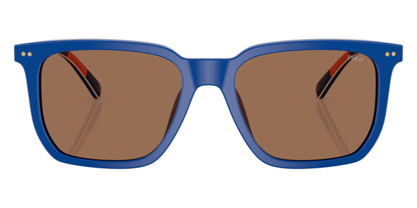 Shiny Royal Blue/Orange / Dark Brown / 55-18-145