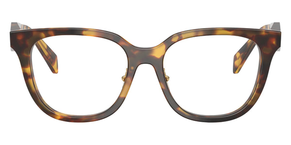 Honey Tortoise / 53-17-145