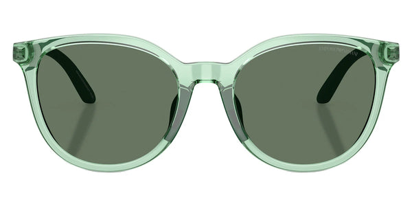 Shiny Transparent Green/Matte Silver / Dark Green / 49-17-130