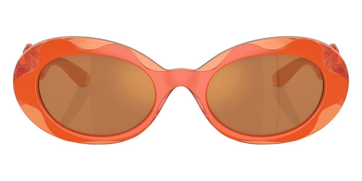 DOLCE & GABBANA - DX6005