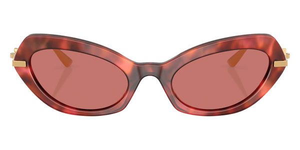 Havana Brown/Gold / Dark Violet / 52-21-140