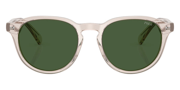 Shiny Transparent Light Taupe / Bottle Green / 52-19-145