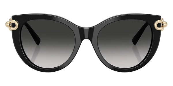 Black/Pale Gold / Gray Gradient / 53-19-140