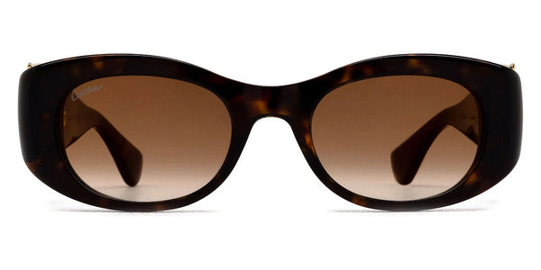 Havana / Brown Multi Treatment / 51-21-140