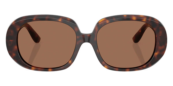 Havana / Dark Brown / 56-17-145