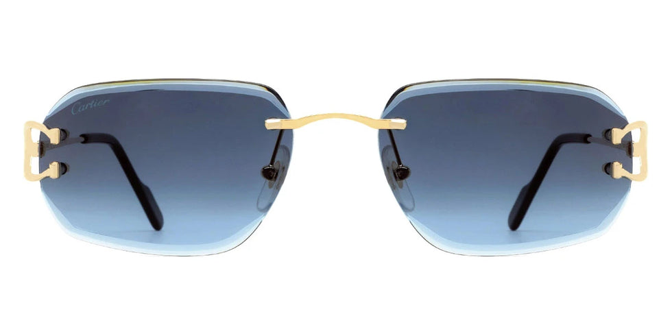 Cartier - CT0468S Signature C de Cartier