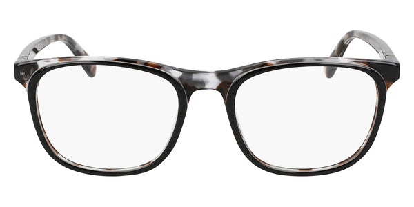 Smoke Tortoise / 54-19-145