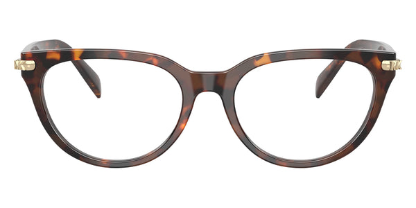 Luggage Tortoise / 54-18-145