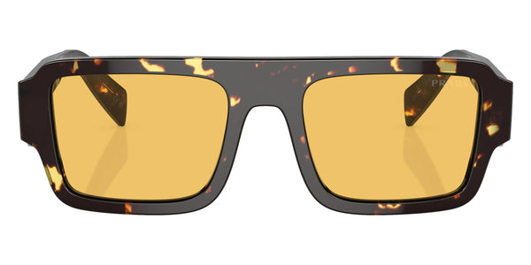 Black Malt Tortoise / Yellow / 55-19-145