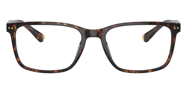 Dark Tortoise / 54-18-145