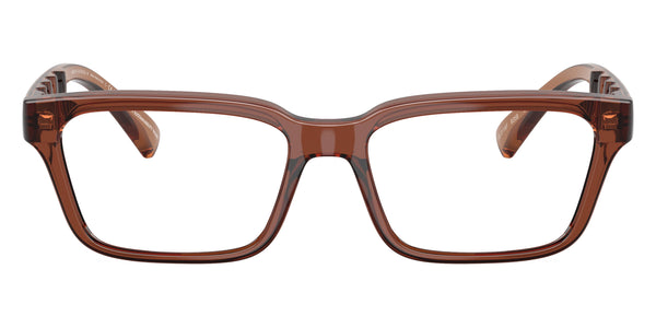 Shiny Transparent Brown / 55-17-145