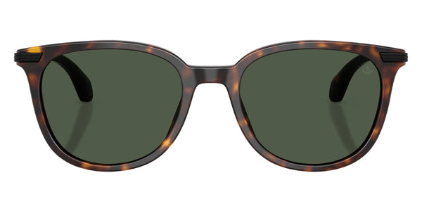 Shiny Havana / Polarized Solid Green / 53-19-145