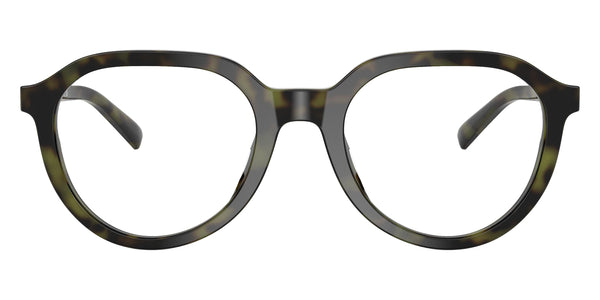 Olive Tortoise / 53-21-145