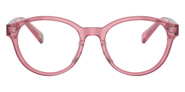 Shiny Transparent Rose / 45-16-125