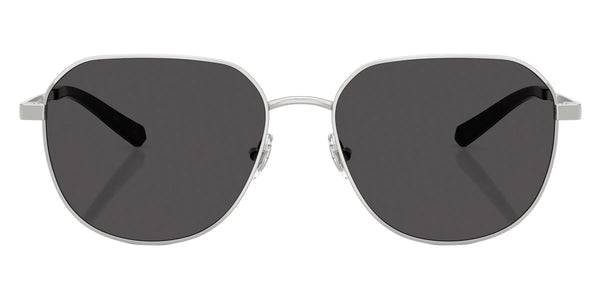 Shiny Silver / Dark Gray Solid / 58-17-145