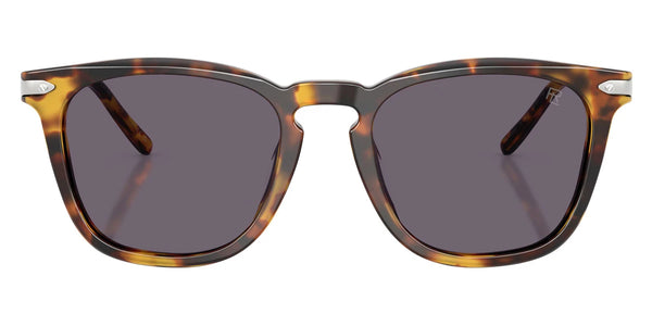 Antique Havana/Semi Shiny Silver / Purple / 53-20-145