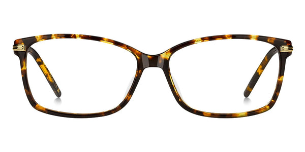 Havana Gold / 55-14-140