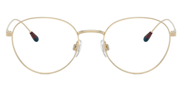 Shiny Pale Gold / 51-19-145