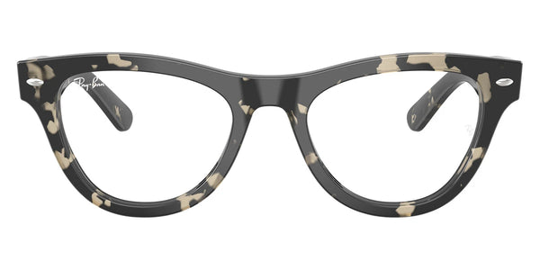 Gray Tortoise / 50-20-145