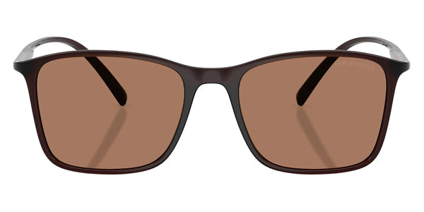 Transparent Brown / Brown / 54-18-145