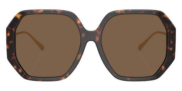 Tortoise/Shiny Gold / Dark Brown / 57-16-145