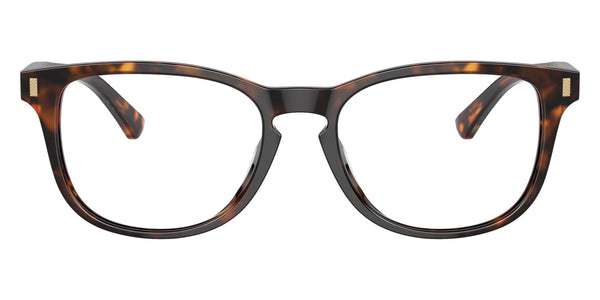 Dark Tortoise Bio / 53-18-145