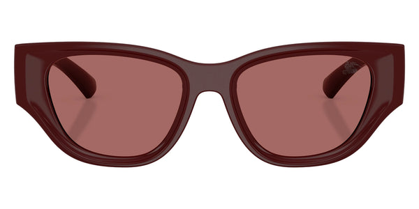 Bordeaux / Dark Violet / 52-18-135