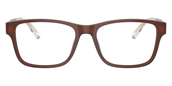 Shiny Opaline Brown/Top Brown/Crystal / 55-17-145