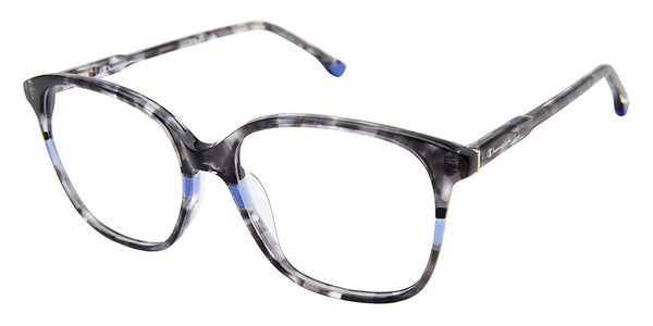 Black Tortoise / 52-16-135