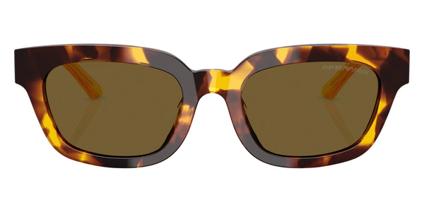 Havana Yellow/Transparent Yellow / Dark Brown / 53-20-140