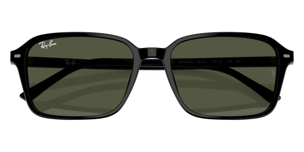 Ray-Ban - Raimond RB2231