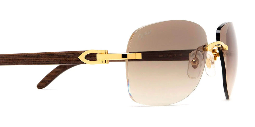 Cartier - CT0014RS C Décor