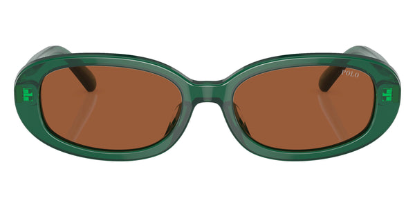 Shiny Transparent Green / Brown / 53-17-145