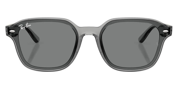 Transparent Gray / Dark Brown / 65-18-145